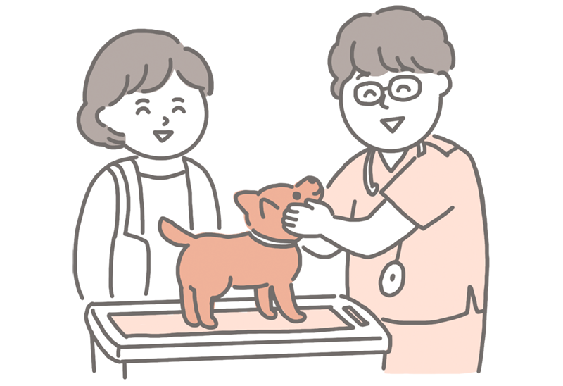 診療内容イメージ