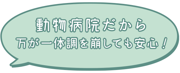 獣医師によるチェック付